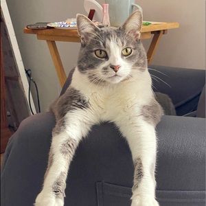 Meet your Posher, Dave